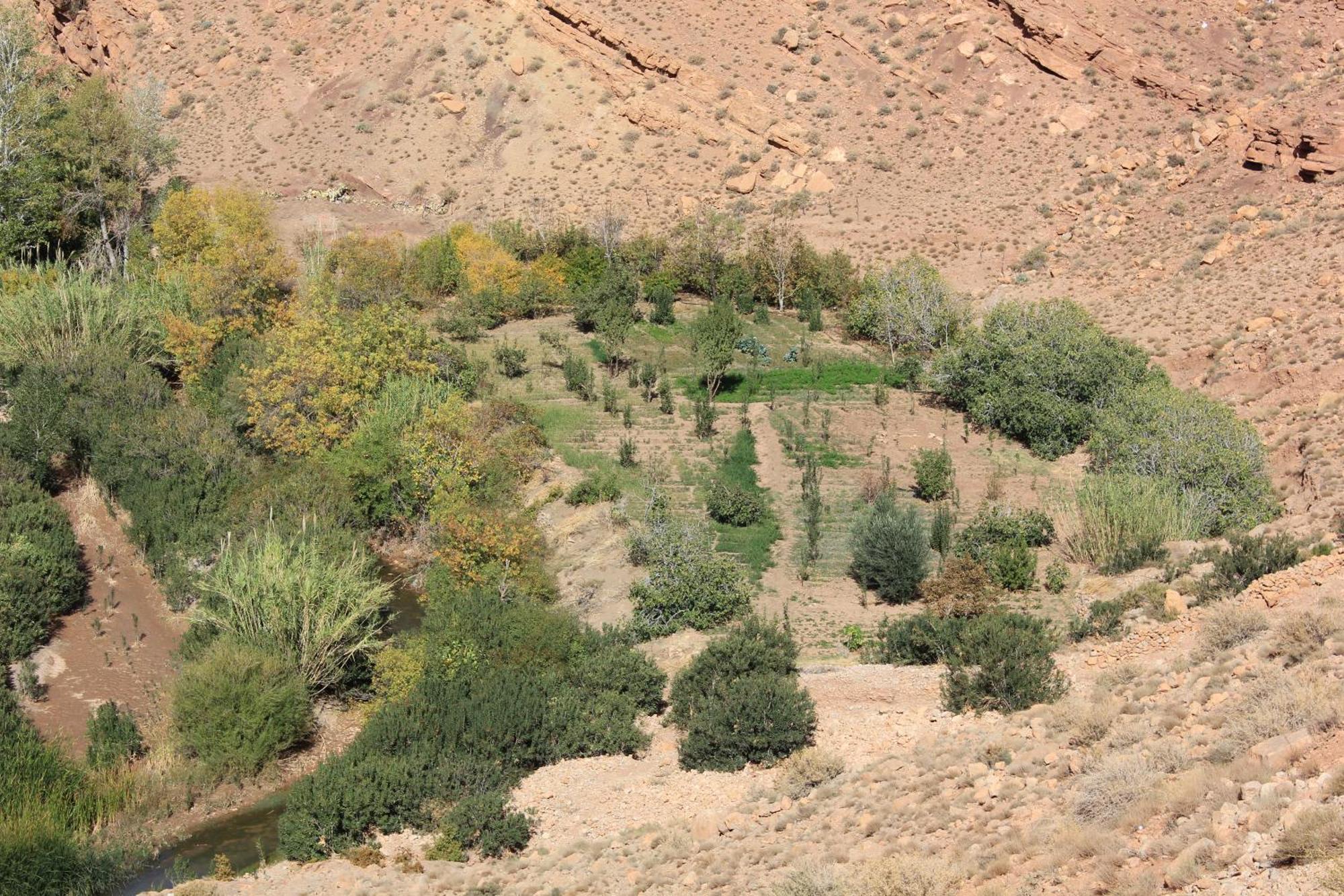 Kasbah Lucas Hostel Akhendachou n'Ait Ouffi Екстериор снимка